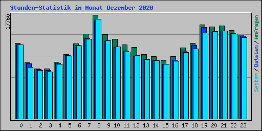 Stunden-Statistik im Monat Dezember 2020