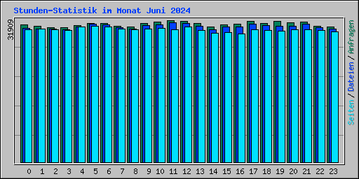 Stunden-Statistik im Monat Juni 2024