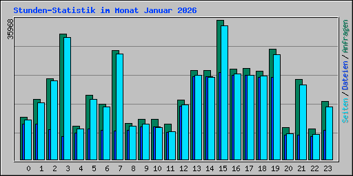 Stunden-Statistik im Monat Januar 2026