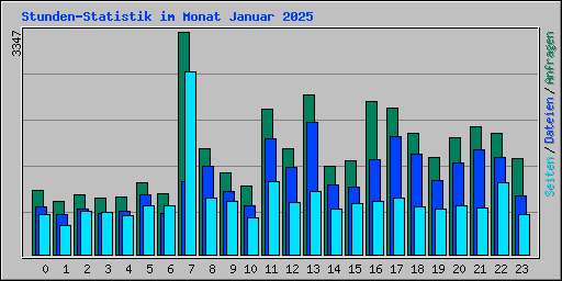 Stunden-Statistik im Monat Januar 2025