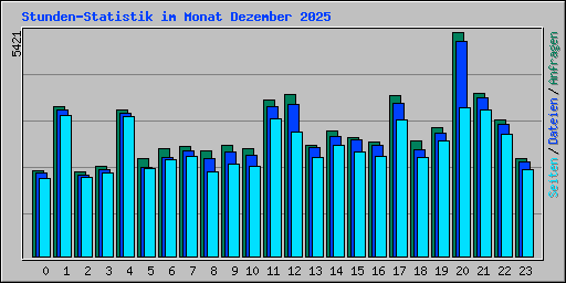 Stunden-Statistik im Monat Dezember 2025