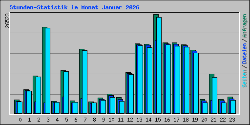 Stunden-Statistik im Monat Januar 2026