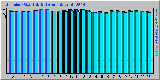 Stunden-Statistik im Monat Juni 2024