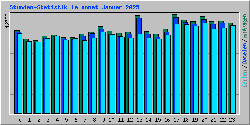Stunden-Statistik im Monat Januar 2025