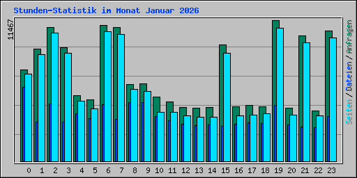 Stunden-Statistik im Monat Januar 2026