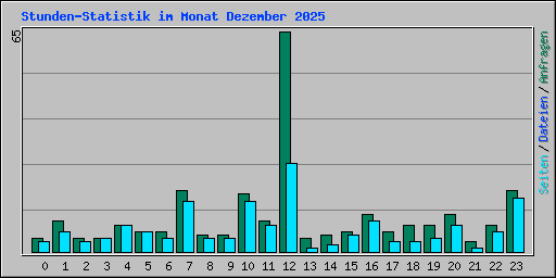 Stunden-Statistik im Monat Dezember 2025